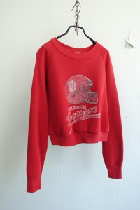 FRUIT OF THE LOOM - cropped sweat shirt