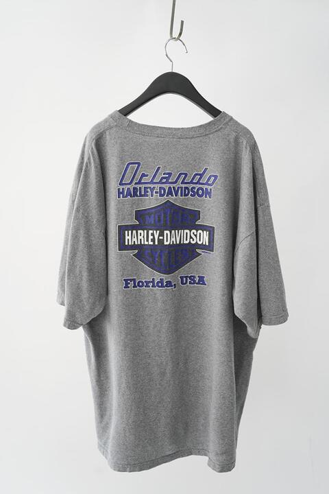 HARLEY DAVIDSON - FLORIDA, U.S.A